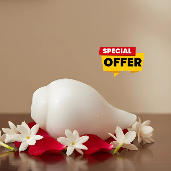 shank special offer banner 