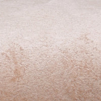 zoom view  of Tessaro Teak Wood Dining Chair (Brown) 